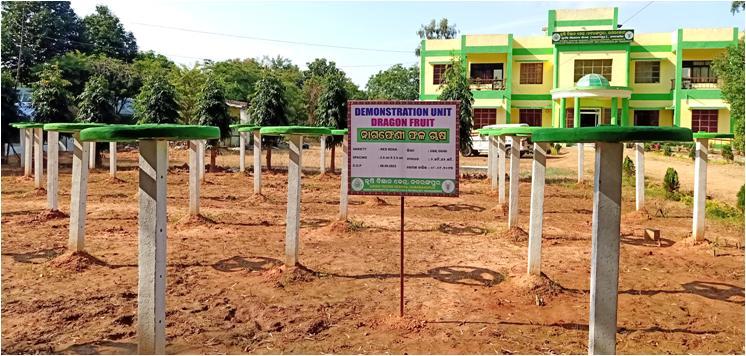 Krishi Vigyan Kendra, Nabarangpur